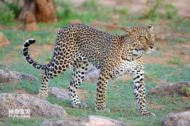 2023060519875483.jpg 7.jpg