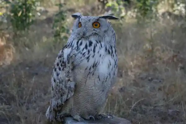 2025083072412867.webp 4.webp