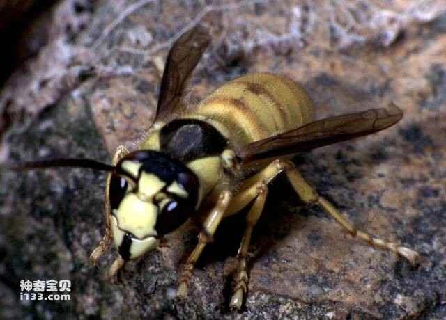 屏幕快照 2023-05-15 下午7.46.58.jpg