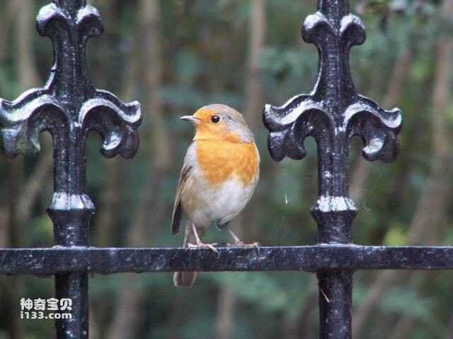 2023050513383958.jpg 8.jpg