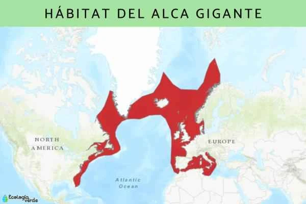 Great Auk: Causes of Extinction, Habitat and Diet - Great Auk Habitat