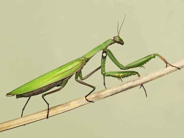 2025101313388680.jpg 13.jpg