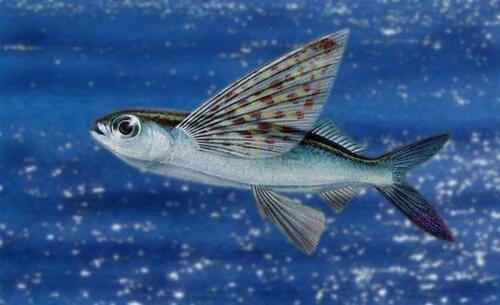 2024092144715074.jpeg adbf4e829262c21b135142ea8382e7e5.jpeg