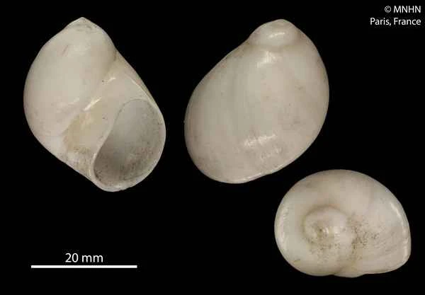 2023110713477715.jpeg 9.jpeg