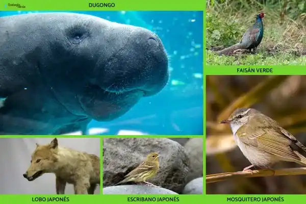 2025082612539661.webp 16.webp