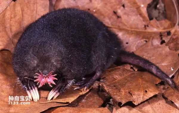 2024060455953943.jpg 8.jpg