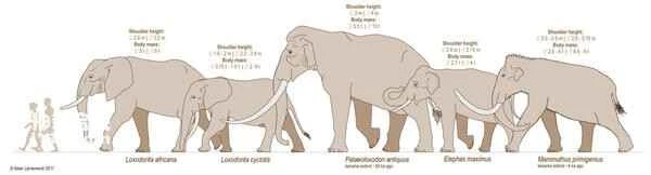 2024080799181994.jpg 7.jpg