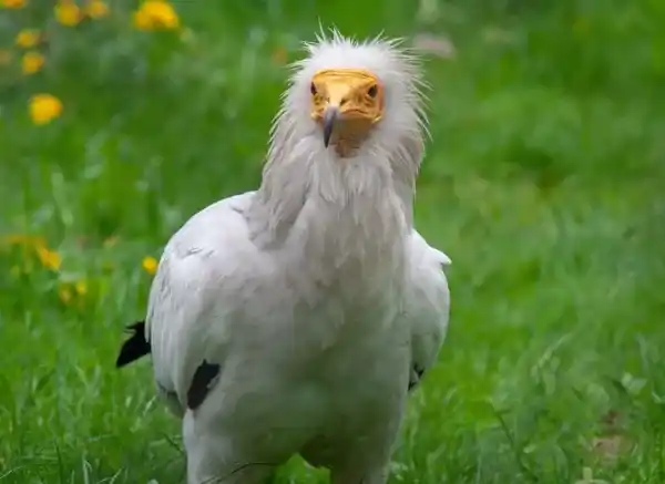 2025072885049094.webp 5.webp