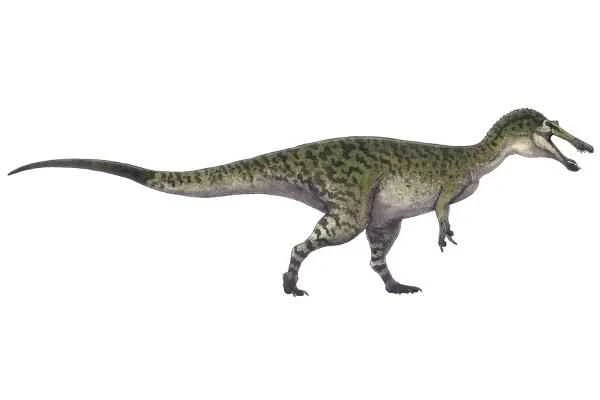 Dinosaurios encontrados en España - Baryonychinae
