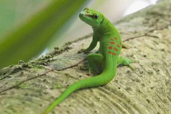 2023102417714646.jpeg 5(1).jpeg