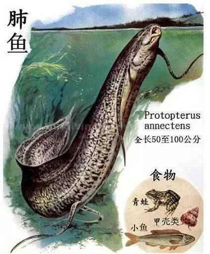 1668415981160229.jpg 4_九雷图片转换器.jpg