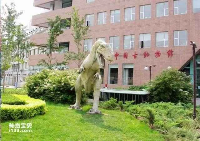 Microraptor, a tree-climbing dinosaur, has been discovered in my country.