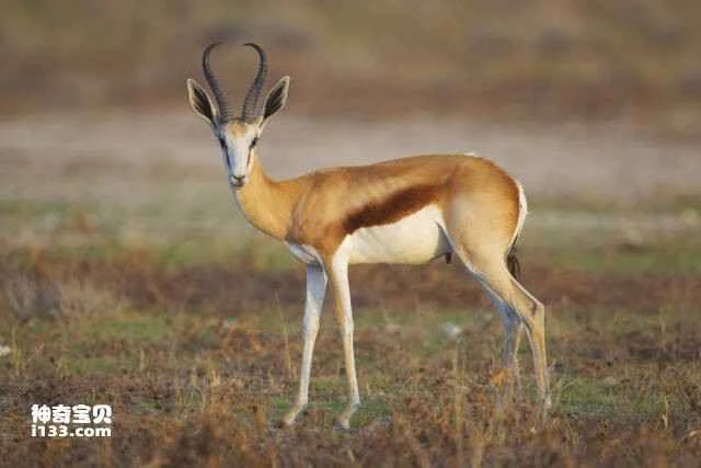 2023060125268675.jpg 13.jpg