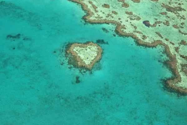 Especies endémicas de Quintana Roo - Microatolones de Cozumel