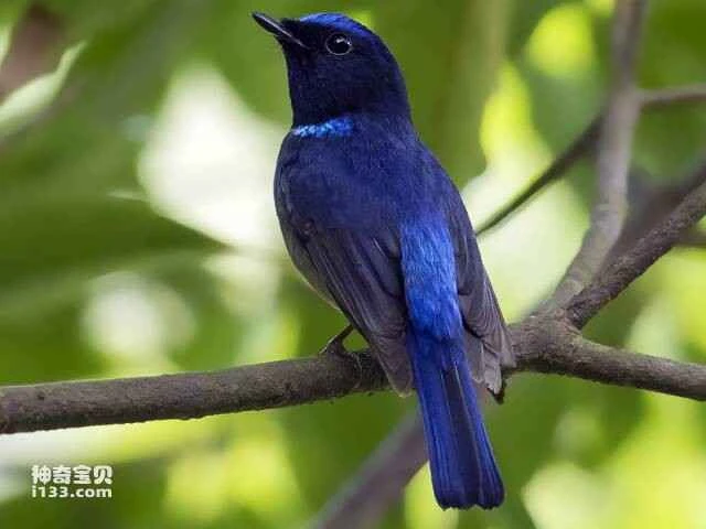 2023060420987417.jpg 66.jpg