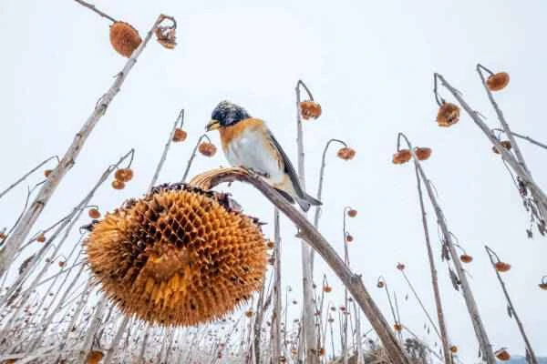 2023090820420802.jpeg 6(1).jpeg