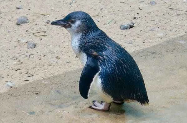 2023112717840522.jpeg 8.jpeg