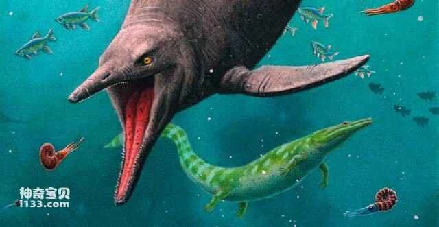 The earliest ichthyosaur fossils discovered on an Arctic island