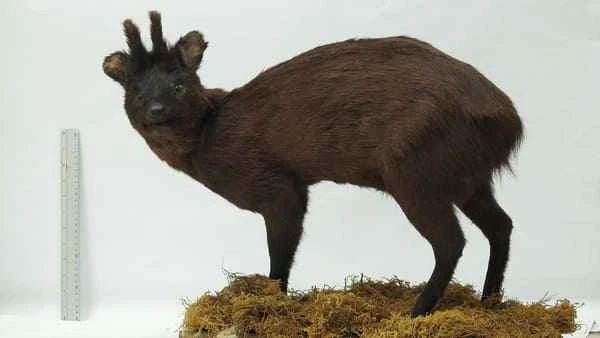 2024011758572620.jpeg 5.jpeg