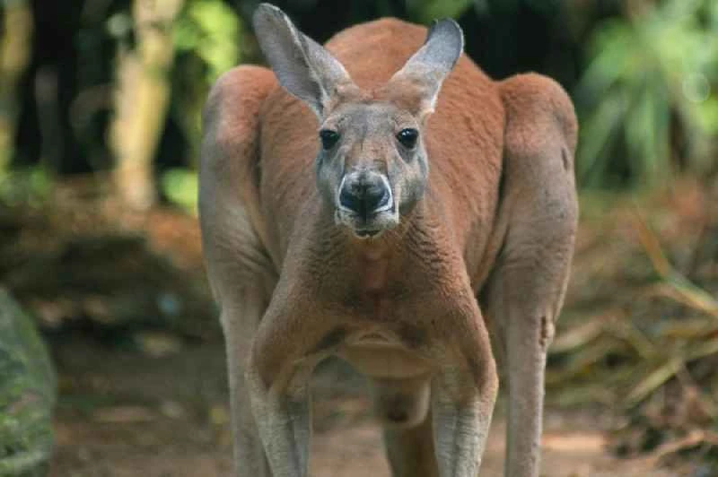 2025050635204873.jpg 1.jpg