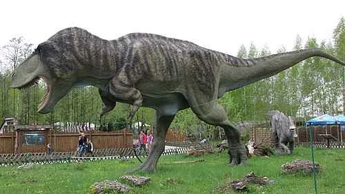 Detailed information and habits of Tyrannosaurus Rex (detailed introduction)