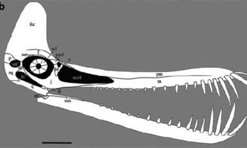 1670219004607499.jpg 7.jpg