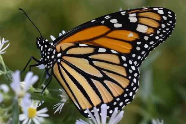 2023101714885255.jpeg 8(1).jpeg