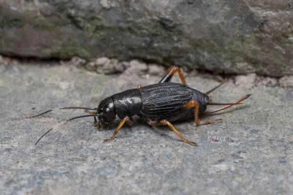 2023103042999267.jpeg 5(1).jpeg