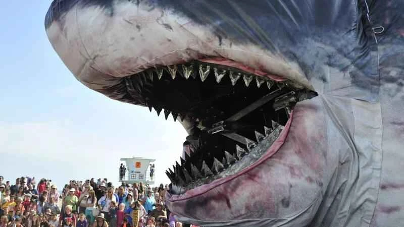 The ten largest living sharks