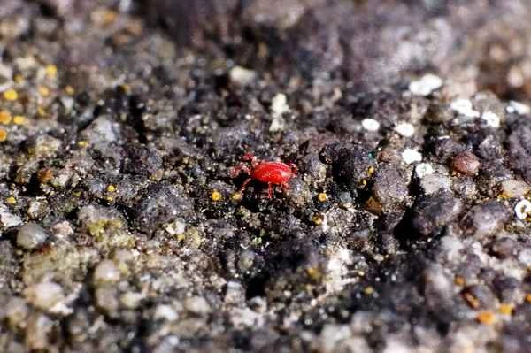 2024042589906720.jpeg 4.jpeg