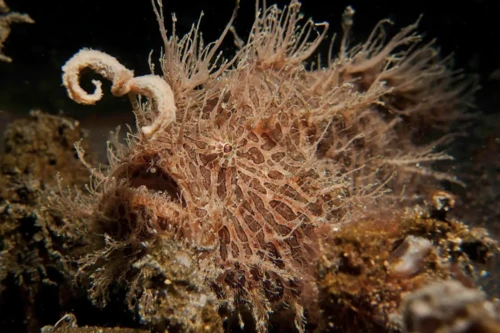 2024100898919738.png 6.png