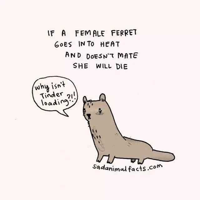 2023011968516323.jpg 6.jpg