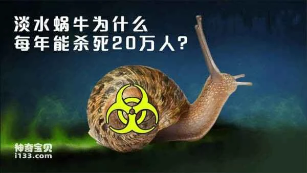 2023110516021749.jpg 1(1).jpg