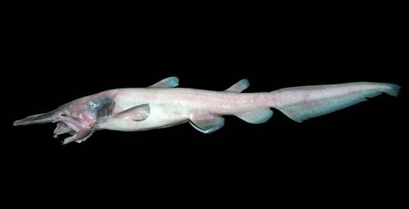 2025042516012652.jpg 5.jpg