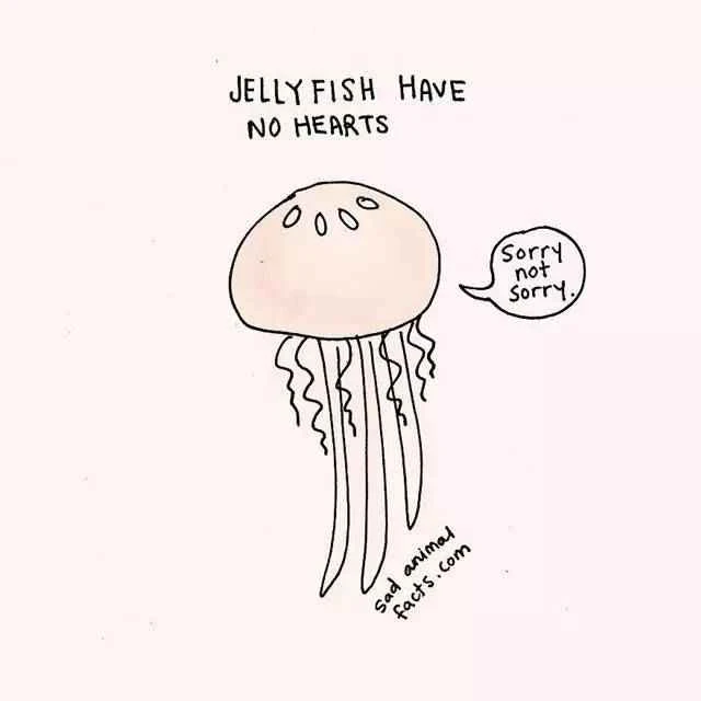 2023011916006563.jpg 9.jpg