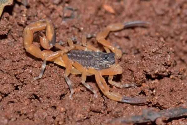 2023110659557371.jpeg 7(1).jpeg