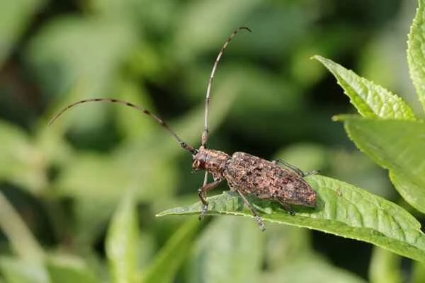 2024042611669508.jpeg 7.jpeg