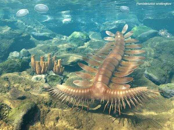 2024110411826975.jpg 2.jpg