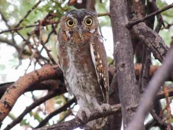 2023082810211328.jpeg 3(1).jpeg