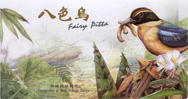 Encounter the most beautiful sprite in the bird world! The Fairy Pitta: A rainbow-colored cartoon fairy.