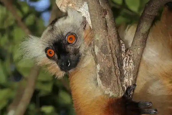 2025082813639885.webp 7.webp