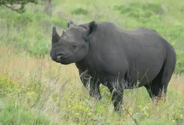 2025122526083676.webp 2.webp