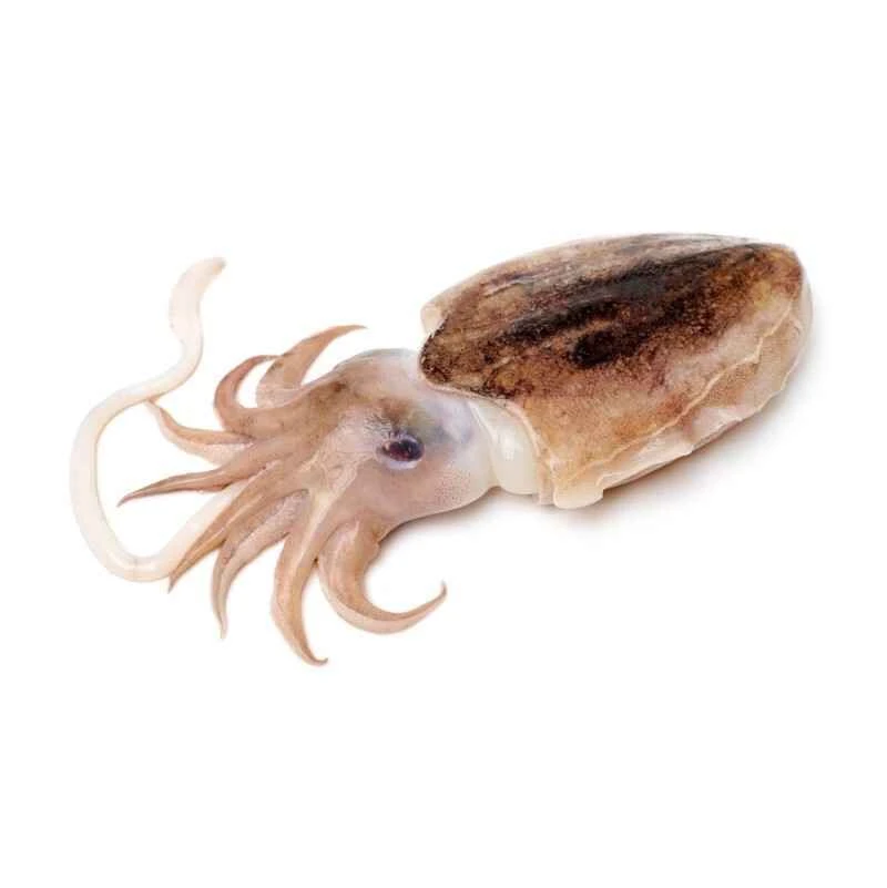 2024111716493143.jpg 6.jpg