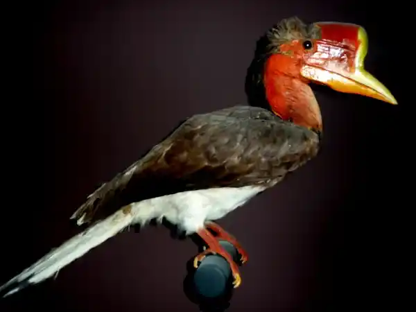 2025072964969253.webp 5.webp