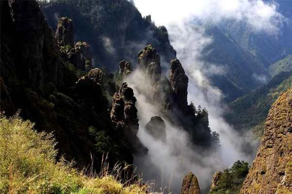 What exactly is the mysterious giant beast "Over-the-Mountain Yellow" in Shennongjia?