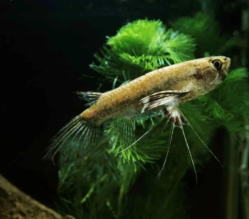 2024091869401978.jpg 88.jpg