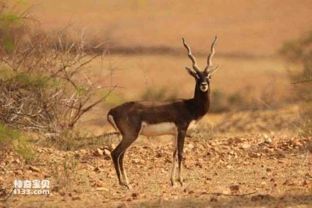 2023060115715635.jpg 17.jpg