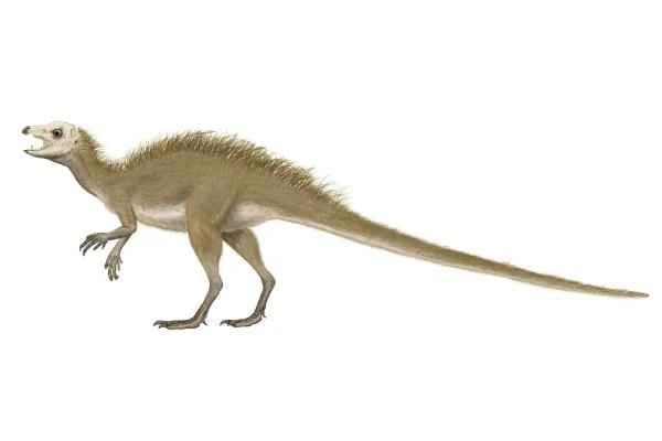 Dinosaurios encontrados en España - Echinodon sp.
