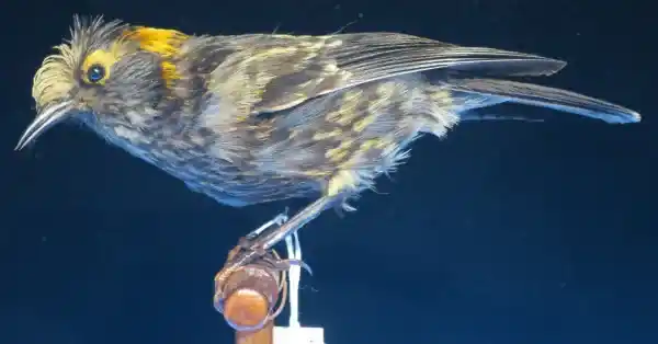 2025072920318119.webp 10.webp