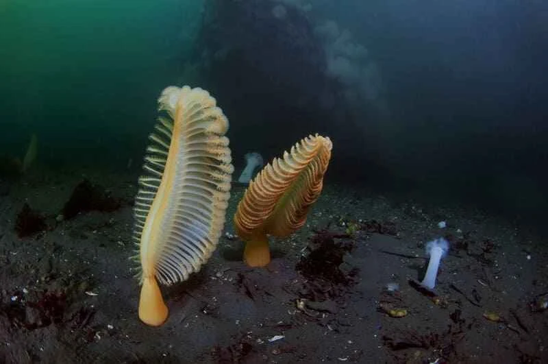 2025042517646622.jpg 12.jpg